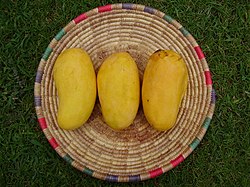 Sindhri Mango - 5 KG Box