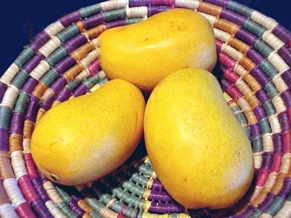 Anwar Ratol Mango - 5 KG Box