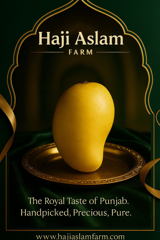 Dasheri Mango - 5 KG Box