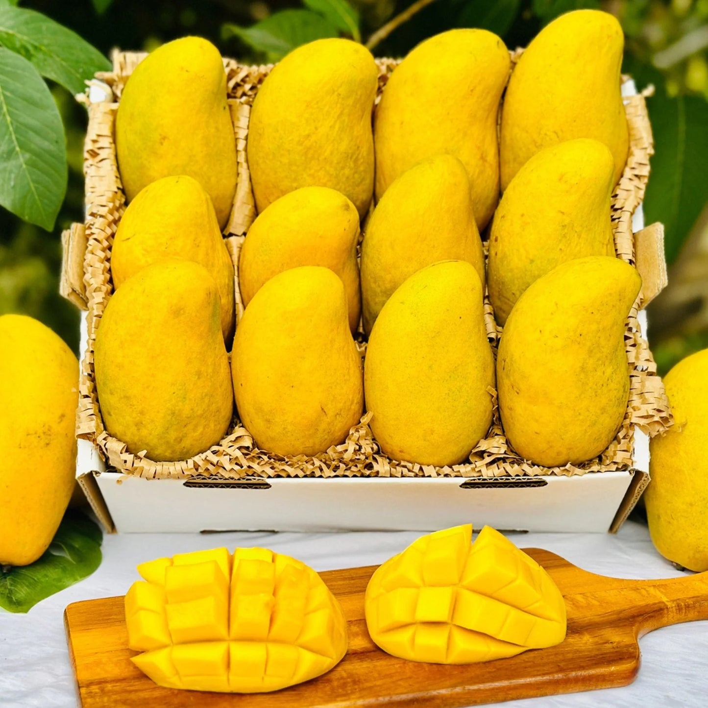 🥭 Premium White Chaunsa Mango – 5 KG Box
