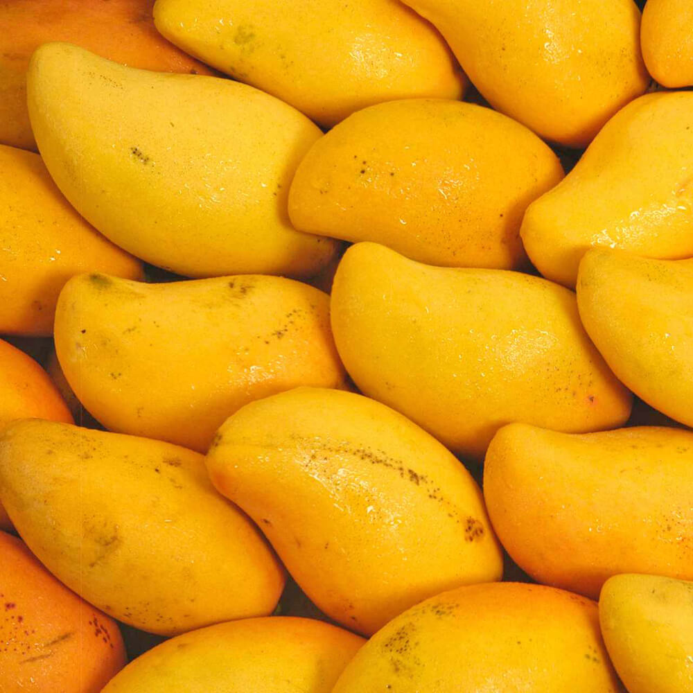 🥭 Premium White Chaunsa Mango – 5 KG Box